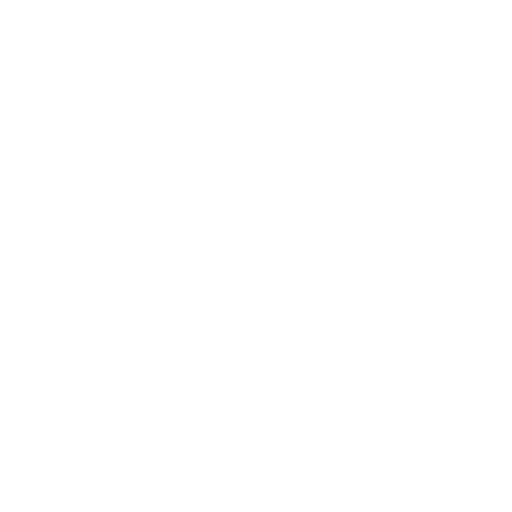 wheel-icon